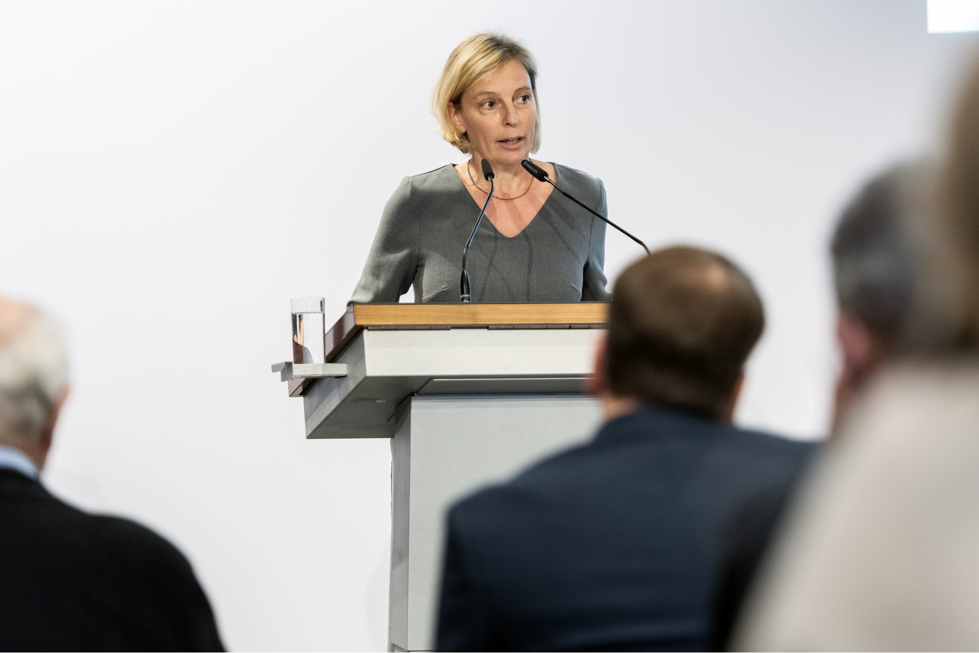 Dr Andrea Schneider-Braunberger